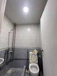 The Sunny Spring (D14), Apartment #633751891
